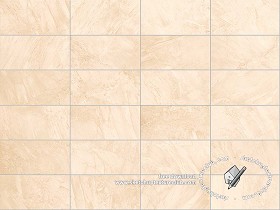 Textures   -   ARCHITECTURE   -   TILES INTERIOR   -   Marble tiles   -   coordinated themes  - Coordinated marble tiles tone on tone texture seamless 18171 (seamless)