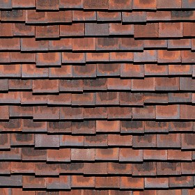 Textures   -   ARCHITECTURE   -   ROOFINGS   -   Slate roofs  - Dirty slate roofing texture seamless 03951 (seamless)