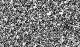 Textures   -   NATURE ELEMENTS   -   VEGETATION   -   Hedges  - Green hedge texture seamless 17381 - Bump