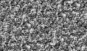 Textures   -   NATURE ELEMENTS   -   VEGETATION   -   Hedges  - Autumn hedge texture seamless 17382 - Bump