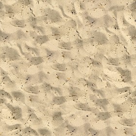 Textures   -   NATURE ELEMENTS   -   SAND  - Beach sand texture seamless 20659 (seamless)