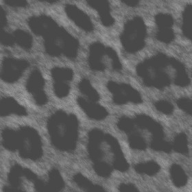 Textures   -   MATERIALS   -   FUR ANIMAL  - Leopard faux fake fur animal texture seamless 09556 - Displacement