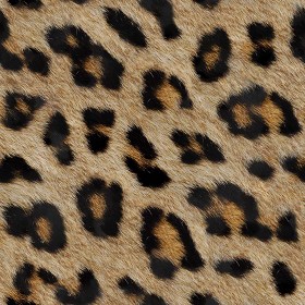 Textures   -   MATERIALS   -   FUR ANIMAL  - Leopard faux fake fur animal texture seamless 09556 (seamless)