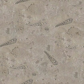 Textures   -   ARCHITECTURE   -   MARBLE SLABS   -  Brown - Slab marble azul fossil texture seamless 02028