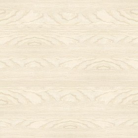 Textures   -   ARCHITECTURE   -   WOOD   -   Fine wood   -   Light wood  - White ash light wood fine texture seamless 04351 (seamless)