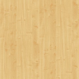 Textures   -   ARCHITECTURE   -   WOOD   -   Fine wood   -  Light wood - Hard maple light wood fine texture seamless 04354