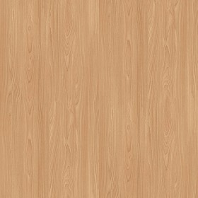 Textures   -   ARCHITECTURE   -   WOOD   -   Fine wood   -  Light wood - Canadian birch light wood fine texture seamless 04356