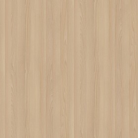 Textures   -   ARCHITECTURE   -   WOOD   -   Fine wood   -  Light wood - Beech light wood fine texture seamless 04357