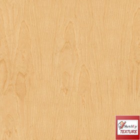 Textures   -   ARCHITECTURE   -   WOOD   -  Plywood - Birch playwood PBR texture seamless 21837