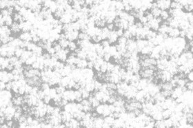 Textures   -   NATURE ELEMENTS   -   VEGETATION   -   Hedges  - Creeper wild texture seamless 18340 - Ambient occlusion