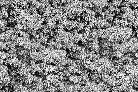 Textures   -   NATURE ELEMENTS   -   VEGETATION   -   Hedges  - Creeper wild texture seamless 18340 - Bump