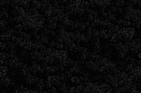 Textures   -   NATURE ELEMENTS   -   VEGETATION   -   Hedges  - Creeper wild texture seamless 18340 - Specular