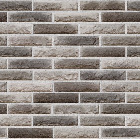 Textures   -   ARCHITECTURE   -   BRICKS   -   Facing Bricks   -   Rustic  - Rustic bricks texture seamless 00240 (seamless)