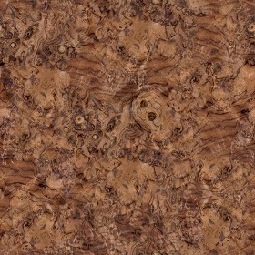 Textures   -   ARCHITECTURE   -   WOOD   -   Fine wood   -   Medium wood  - Walnut burl wood fine medium color texture seamless 04464 (seamless)