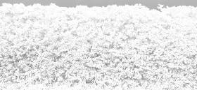 Textures   -   NATURE ELEMENTS   -   VEGETATION   -   Hedges  - Cut out autumnal hedge texture seamless 18706 - Ambient occlusion
