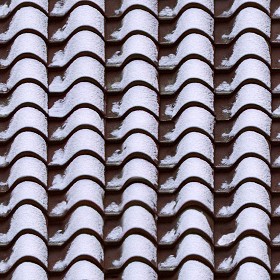 Textures   -   ARCHITECTURE   -   ROOFINGS   -  Snowy roofs - Snowy roof texture seamless 04035