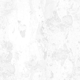 Textures   -   ARCHITECTURE   -   CONCRETE   -   Bare   -   Dirty walls  - Concrete bare dirty texture seamless 01494 - Ambient occlusion