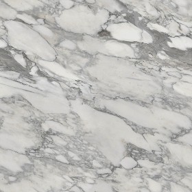 Textures   -   ARCHITECTURE   -   MARBLE SLABS   -  White - veined white marble pbr texture seamless 22360