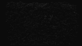 Textures   -   NATURE ELEMENTS   -   VEGETATION   -   Hedges  - Cut out autumnal hedge texture 18708 - Specular