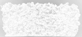 Textures   -   NATURE ELEMENTS   -   VEGETATION   -   Hedges  - Cut out autumnal hedge texture 18709 - Ambient occlusion