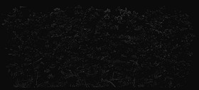 Textures   -   NATURE ELEMENTS   -   VEGETATION   -   Hedges  - Cut out autumnal hedge texture 18709 - Specular