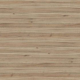 Textures   -   ARCHITECTURE   -   WOOD   -   Fine wood   -  Light wood - Light wood fine texture seamless 04363