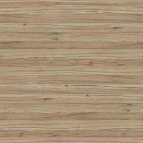 Textures   -   ARCHITECTURE   -   WOOD   -   Fine wood   -   Light wood  - Light wood fine texture seamless 04363 (seamless)