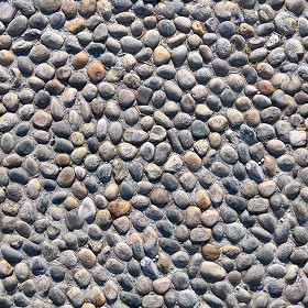 Textures   -   ARCHITECTURE   -   ROADS   -   Paving streets   -  Rounded cobble - Street paving rounded cobblestone texture seamless 21264