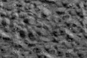 Textures   -   NATURE ELEMENTS   -   SAND  - River sand texture seamless 18640 - Displacement