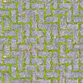 Textures   -   ARCHITECTURE   -   PAVING OUTDOOR   -   Concrete   -  Herringbone - Herringbone concrete damaged paving outdoor with moss texture seamless 19275
