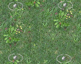 Textures   -   NATURE ELEMENTS   -   VEGETATION   -   Green grass  - Green grass texture seamless 12974 (seamless)
