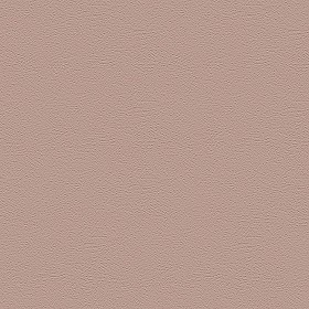 Textures   -   ARCHITECTURE   -   PLASTER   -   Reinaissance  - Reinassance plaster texture seamless 07083 (seamless)