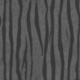 Textures   -   MATERIALS   -   FUR ANIMAL  - Tiger faux fake fur animal texture seamless 09558 - Displacement