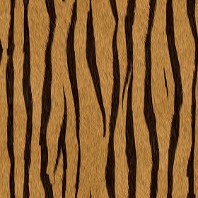 Textures   -   MATERIALS   -   FUR ANIMAL  - Tiger faux fake fur animal texture seamless 09558 (seamless)