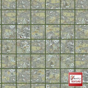 Textures   -   ARCHITECTURE   -   PAVING OUTDOOR   -  Parks Paving - Damaged stone park paving texture seamless 18833