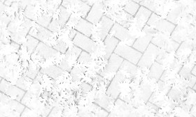 Textures   -   ARCHITECTURE   -   PAVING OUTDOOR   -   Concrete   -   Herringbone  - Herringbone concrete paving outdoor with leaves dead texture seamless 19282 - Ambient occlusion
