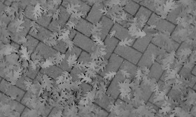 Textures   -   ARCHITECTURE   -   PAVING OUTDOOR   -   Concrete   -   Herringbone  - Herringbone concrete paving outdoor with leaves dead texture seamless 19282 - Displacement