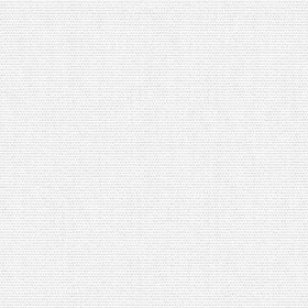 Textures   -   MATERIALS   -   FABRICS   -   Canvas  - Canvas fabric texture seamless 20397 - Ambient occlusion