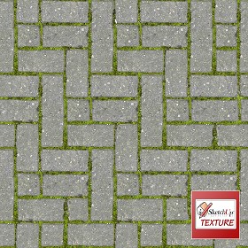 Textures   -   ARCHITECTURE   -   PAVING OUTDOOR   -  Parks Paving - Concrete block park paving texture seamless 18836