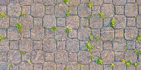 Textures   -   ARCHITECTURE   -   PAVING OUTDOOR   -   Concrete   -   Blocks damaged  - Damaged concrete outdoor paving with grass texture seamless 20783 (seamless)