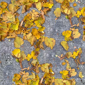 Textures   -   NATURE ELEMENTS   -   VEGETATION   -   Leaves dead  - Sidewalk with dead leaves texture seamless 20524 (seamless)