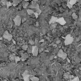 Textures   -   NATURE ELEMENTS   -   VEGETATION   -   Leaves dead  - Ground with dead leaves texture seamless 20525 - Displacement