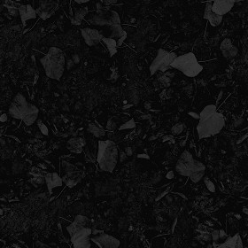 Textures   -   NATURE ELEMENTS   -   VEGETATION   -   Leaves dead  - Ground with dead leaves texture seamless 20525 - Specular