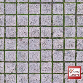 Textures   -   ARCHITECTURE   -   PAVING OUTDOOR   -  Parks Paving - Dirty concrete park paving texture seamless 19259