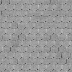 Textures   -   ARCHITECTURE   -   ROOFINGS   -   Asphalt roofs  - Asphalt shingle roofing texture seamless 03336 - Displacement