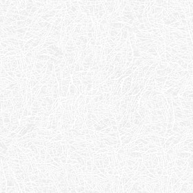 Textures   -   MATERIALS   -   LEATHER  - Leather texture seamless 09670 - Ambient occlusion