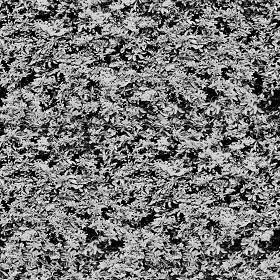 Textures   -   NATURE ELEMENTS   -   VEGETATION   -   Hedges  - red piracanta hedge texture-seamless 21345 - Bump