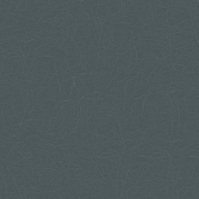Textures   -   MATERIALS   -   LEATHER  - Leather texture seamless 09671 - Specular