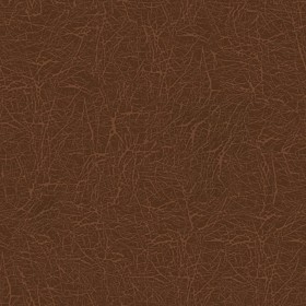 Textures   -   MATERIALS   -  LEATHER - Leather texture seamless 09671