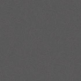 Textures   -   MATERIALS   -   LEATHER  - Leather texture seamless 09672 - Specular